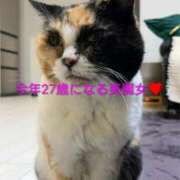 北村りの 風でフガフガ アラフォーna奥様 アラフィフna奥様（埼玉ハレ系）