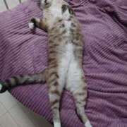 ヒメ日記 2026/02/27 15:25 投稿 北村りの アラフォーna奥様 アラフィフna奥様（埼玉ハレ系）