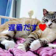 ヒメ日記 2026/03/15 14:52 投稿 北村りの アラフォーna奥様 アラフィフna奥様（埼玉ハレ系）