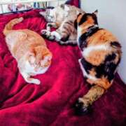 ヒメ日記 2026/04/30 18:37 投稿 北村りの アラフォーna奥様 アラフィフna奥様（埼玉ハレ系）