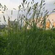ヒメ日記 2026/06/03 08:16 投稿 高畑まり アラフォーna奥様 アラフィフna奥様（埼玉ハレ系）