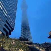 ヒメ日記 2026/09/04 08:40 投稿 高畑まり アラフォーna奥様 アラフィフna奥様（埼玉ハレ系）