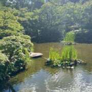 ヒメ日記 2026/09/08 21:11 投稿 高畑まり アラフォーna奥様 アラフィフna奥様（埼玉ハレ系）