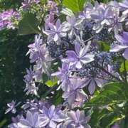 ヒメ日記 2026/09/20 08:35 投稿 高畑まり アラフォーna奥様 アラフィフna奥様（埼玉ハレ系）