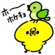 ヒメ日記 2026/04/06 09:15 投稿 宮沢ゆき アラフォーna奥様 アラフィフna奥様（埼玉ハレ系）