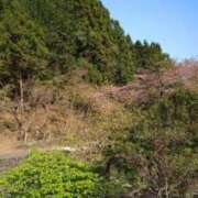 ヒメ日記 2026/08/13 14:21 投稿 今田さら アラフォーna奥様 アラフィフna奥様（埼玉ハレ系）