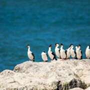 高徳ひかり おはようございます🍀 アラフォーna奥様 アラフィフna奥様（埼玉ハレ系）