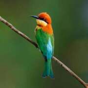 高徳ひかり おはようございます☘️ アラフォーna奥様 アラフィフna奥様（埼玉ハレ系）