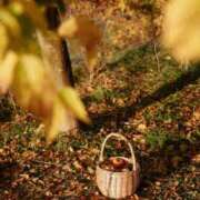 ヒメ日記 2025/12/10 09:17 投稿 高徳ひかり アラフォーna奥様 アラフィフna奥様（埼玉ハレ系）