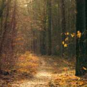 ヒメ日記 2025/12/10 19:53 投稿 高徳ひかり アラフォーna奥様 アラフィフna奥様（埼玉ハレ系）