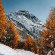 ヒメ日記 2025/12/14 11:47 投稿 高徳ひかり アラフォーna奥様 アラフィフna奥様（埼玉ハレ系）