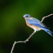 ヒメ日記 2025/12/28 09:14 投稿 高徳ひかり アラフォーna奥様 アラフィフna奥様（埼玉ハレ系）