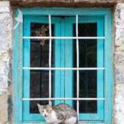 ヒメ日記 2026/01/02 09:15 投稿 高徳ひかり アラフォーna奥様 アラフィフna奥様（埼玉ハレ系）