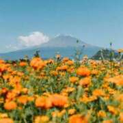 高徳ひかり ありがとうございました✨️ アラフォーna奥様 アラフィフna奥様（埼玉ハレ系）