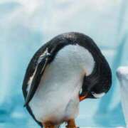 高徳ひかり こんばんは🌙 アラフォーna奥様 アラフィフna奥様（埼玉ハレ系）