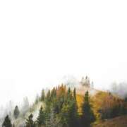 ヒメ日記 2026/02/15 06:16 投稿 高徳ひかり アラフォーna奥様 アラフィフna奥様（埼玉ハレ系）