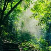 高徳ひかり ありがとうございました✨️ アラフォーna奥様 アラフィフna奥様（埼玉ハレ系）