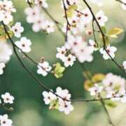 ヒメ日記 2026/03/15 06:54 投稿 高徳ひかり アラフォーna奥様 アラフィフna奥様（埼玉ハレ系）