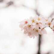 ヒメ日記 2026/03/22 13:25 投稿 高徳ひかり アラフォーna奥様 アラフィフna奥様（埼玉ハレ系）