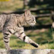 ヒメ日記 2026/04/12 09:05 投稿 高徳ひかり アラフォーna奥様 アラフィフna奥様（埼玉ハレ系）