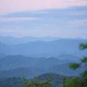 ヒメ日記 2026/04/14 00:44 投稿 高徳ひかり アラフォーna奥様 アラフィフna奥様（埼玉ハレ系）