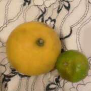 ヒメ日記 2025/12/14 12:49 投稿 片岡みほ アラフォーna奥様 アラフィフna奥様（埼玉ハレ系）