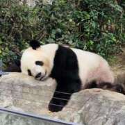 ヒメ日記 2025/12/17 01:14 投稿 片岡みほ アラフォーna奥様 アラフィフna奥様（埼玉ハレ系）