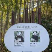 ヒメ日記 2026/01/16 00:12 投稿 片岡みほ アラフォーna奥様 アラフィフna奥様（埼玉ハレ系）