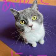 ヒメ日記 2026/02/22 22:53 投稿 片岡みほ アラフォーna奥様 アラフィフna奥様（埼玉ハレ系）