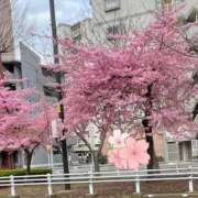 ヒメ日記 2026/03/06 16:01 投稿 片岡みほ アラフォーna奥様 アラフィフna奥様（埼玉ハレ系）