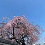 ヒメ日記 2026/03/29 15:07 投稿 片岡みほ アラフォーna奥様 アラフィフna奥様（埼玉ハレ系）