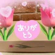 ヒメ日記 2026/04/22 23:15 投稿 片岡みほ アラフォーna奥様 アラフィフna奥様（埼玉ハレ系）
