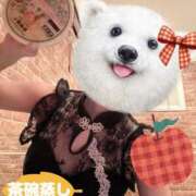 神代ちはや こんにちは アラフォーna奥様 アラフィフna奥様（埼玉ハレ系）