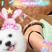 神代ちはや おはようございます アラフォーna奥様 アラフィフna奥様（埼玉ハレ系）