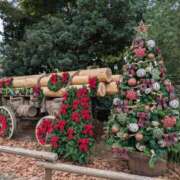 ヒメ日記 2026/01/02 08:52 投稿 朝日なつみ アラフォーna奥様 アラフィフna奥様（埼玉ハレ系）