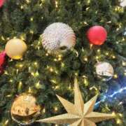 ヒメ日記 2025/12/20 18:55 投稿 藤田さやか アラフォーna奥様 アラフィフna奥様（埼玉ハレ系）