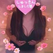ヒメ日記 2026/10/03 09:53 投稿 七尾あずさ アラフォーna奥様 アラフィフna奥様（埼玉ハレ系）