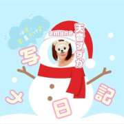 ヒメ日記 2026/02/09 10:25 投稿 天音すずか アラフォーna奥様 アラフィフna奥様（埼玉ハレ系）