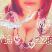 ヒメ日記 2026/04/01 15:31 投稿 天音すずか アラフォーna奥様 アラフィフna奥様（埼玉ハレ系）