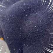 ヒメ日記 2024/12/19 09:20 投稿 伊波しゅり アラフォーna奥様 アラフィフna奥様（埼玉ハレ系）