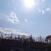 ヒメ日記 2025/02/17 15:55 投稿 伊波しゅり アラフォーna奥様 アラフィフna奥様（埼玉ハレ系）