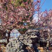 ヒメ日記 2025/02/24 15:42 投稿 伊波しゅり アラフォーna奥様 アラフィフna奥様（埼玉ハレ系）