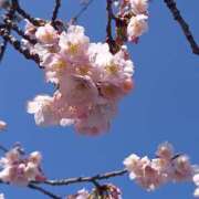 ヒメ日記 2025/03/09 14:49 投稿 伊波しゅり アラフォーna奥様 アラフィフna奥様（埼玉ハレ系）