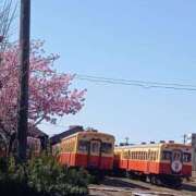 ヒメ日記 2025/03/10 10:53 投稿 伊波しゅり アラフォーna奥様 アラフィフna奥様（埼玉ハレ系）