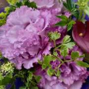 ヒメ日記 2025/03/17 15:29 投稿 伊波しゅり アラフォーna奥様 アラフィフna奥様（埼玉ハレ系）