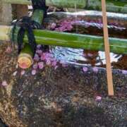 ヒメ日記 2025/03/20 14:58 投稿 伊波しゅり アラフォーna奥様 アラフィフna奥様（埼玉ハレ系）