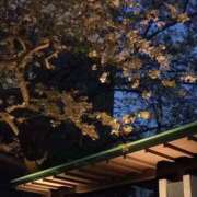 ヒメ日記 2025/04/10 19:06 投稿 伊波しゅり アラフォーna奥様 アラフィフna奥様（埼玉ハレ系）