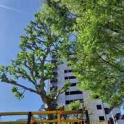 ヒメ日記 2025/05/03 10:21 投稿 伊波しゅり アラフォーna奥様 アラフィフna奥様（埼玉ハレ系）