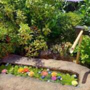 ヒメ日記 2025/05/08 14:10 投稿 伊波しゅり アラフォーna奥様 アラフィフna奥様（埼玉ハレ系）