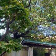 ヒメ日記 2025/09/27 18:13 投稿 伊波しゅり アラフォーna奥様 アラフィフna奥様（埼玉ハレ系）